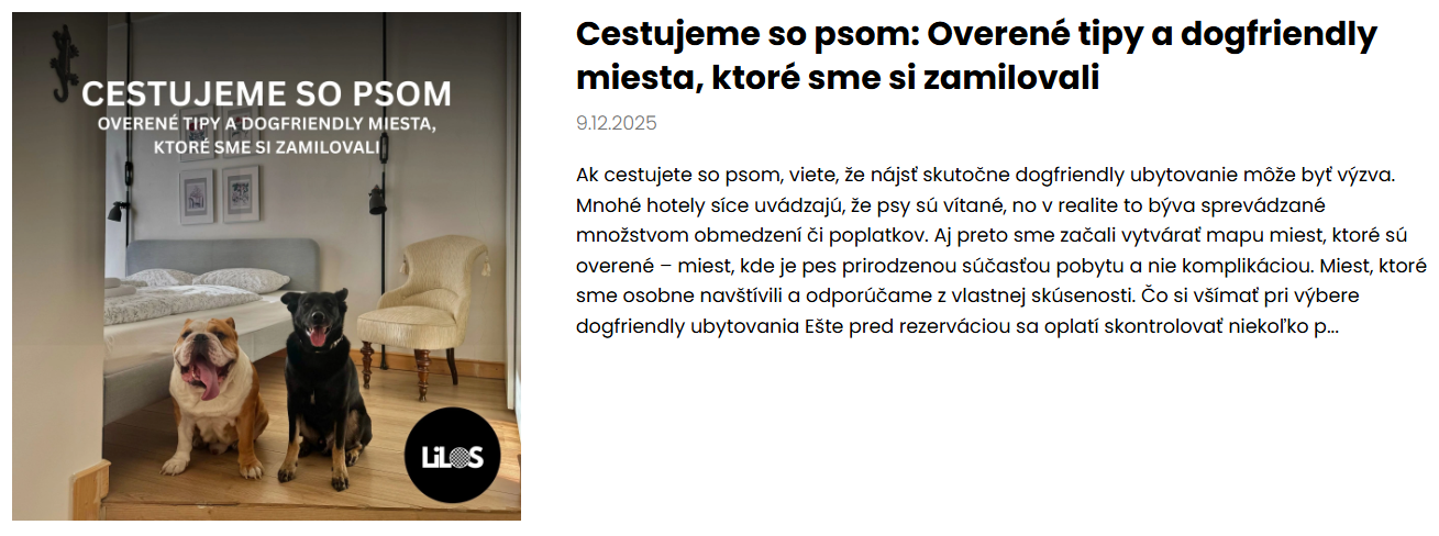 tipy ny ubytovanie o psom